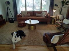 Poly & Bark Napa 88.5” Sofa Review