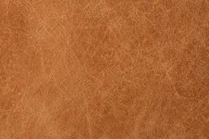 Cognac Tan/Brushed Silver