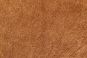Cognac Tan/Brass