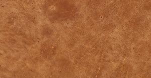 Cognac Tan/Sloped Armrest