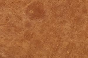 Cognac Tan/Brushed Silver