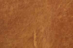 Cognac Tan/Walnut