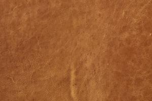 Cognac Tan/Brushed Silver