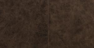 Brown Stone/Brushed Silver